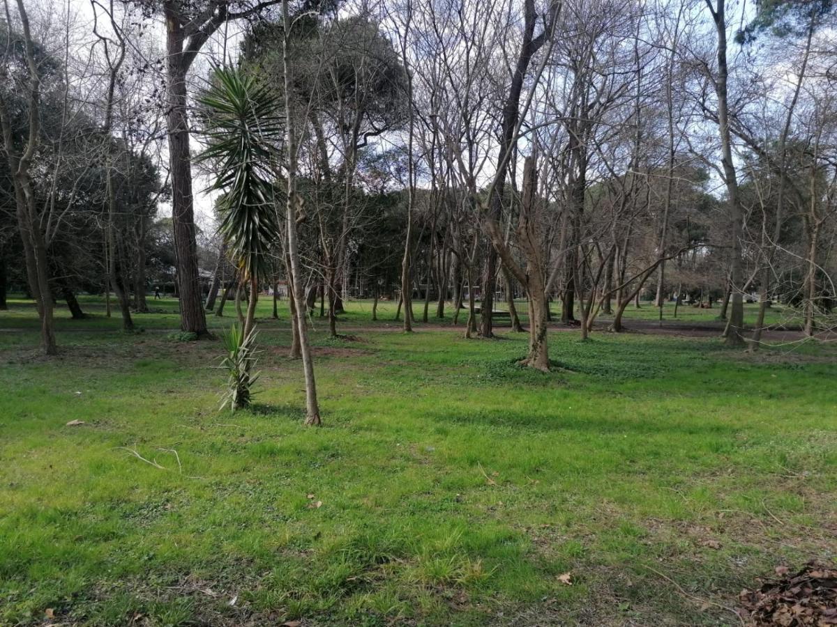 La Casina Giramondo di Ele Viareggio Esterno foto
